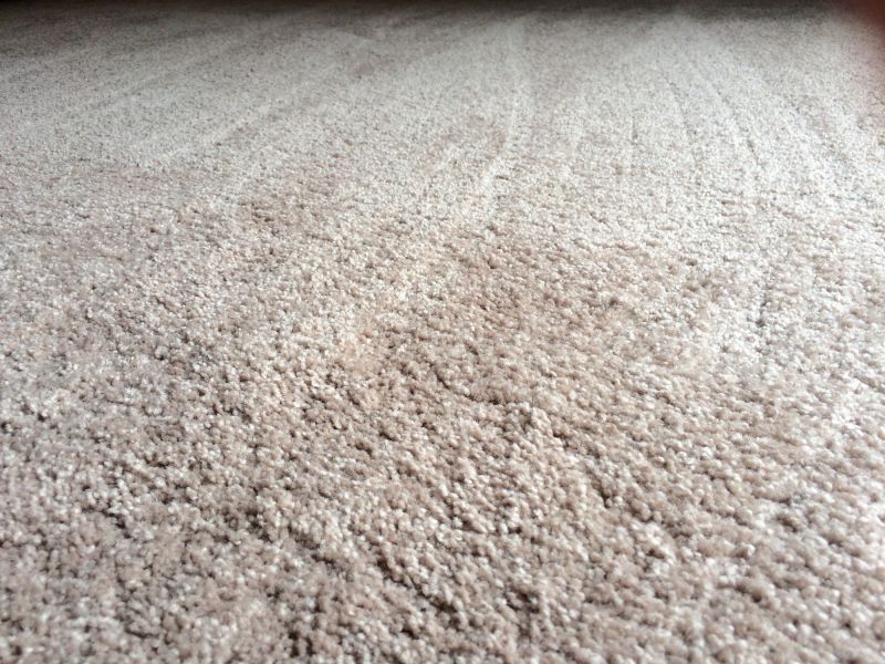 Plush Carpet Installation in Monmouth County, NJ